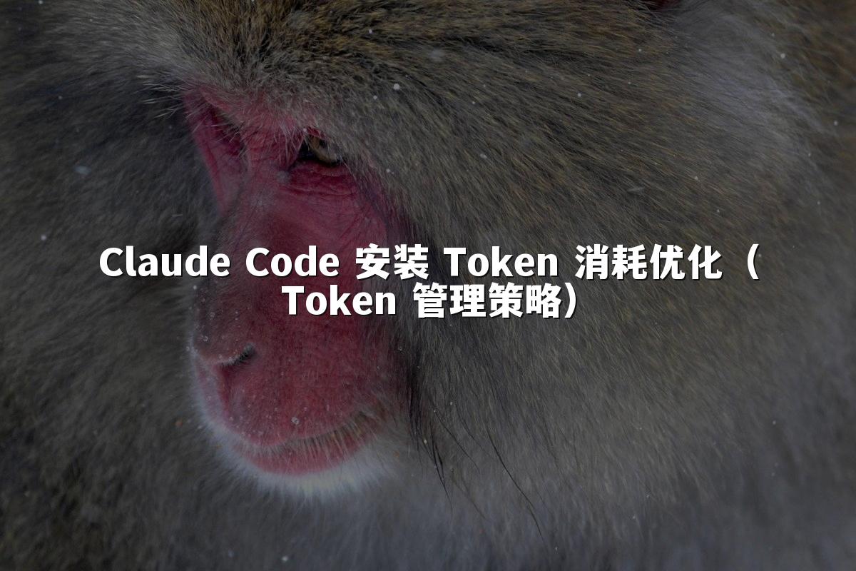 Claude Code 安装 Token 消耗优化（Token 管理策略）