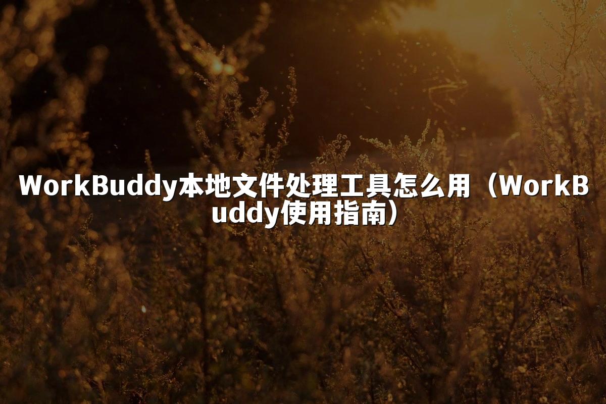 WorkBuddy本地文件处理工具怎么用(WorkBuddy使用指南)