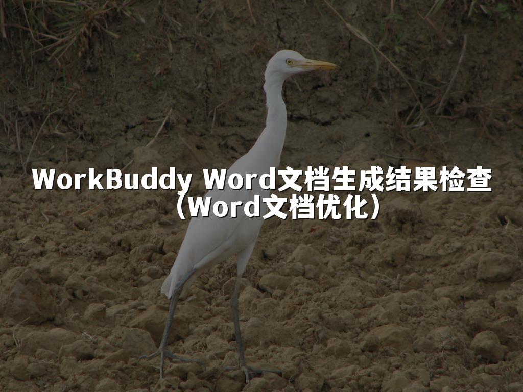 WorkBuddy Word文档生成结果检查(Word文档优化)