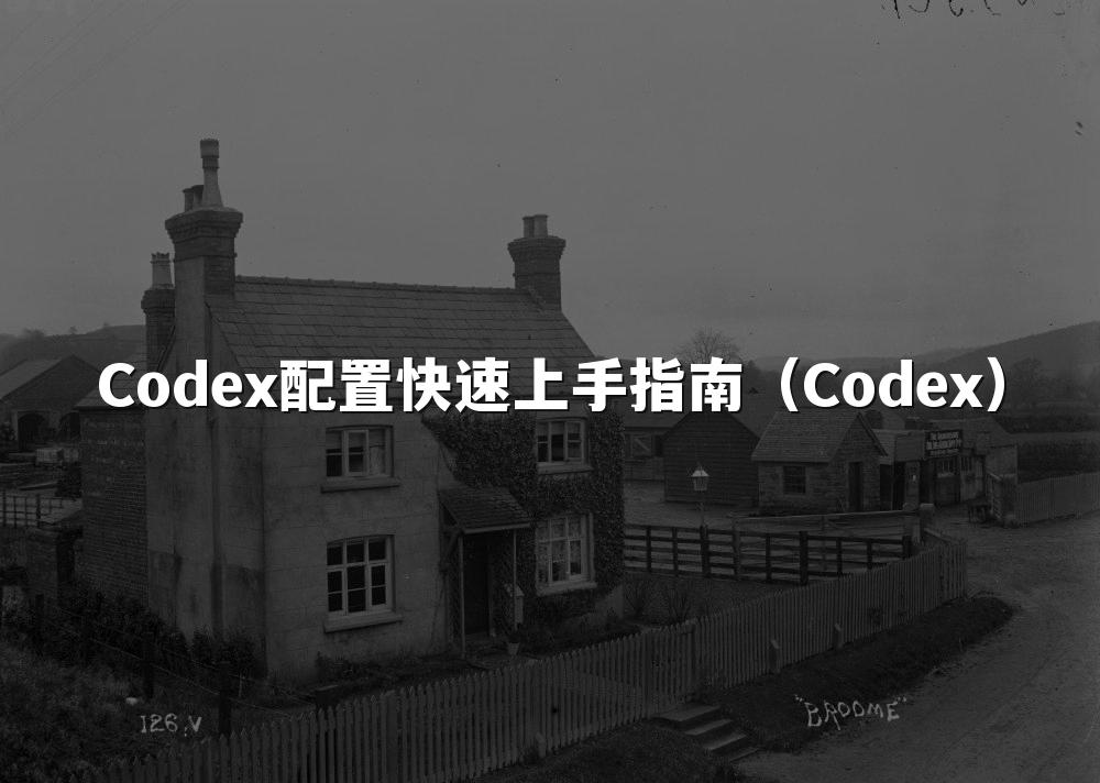 Codex配置快速上手指南（Codex）