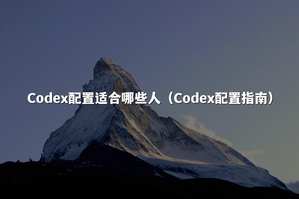 Codex配置适合哪些人（Codex配置指南）