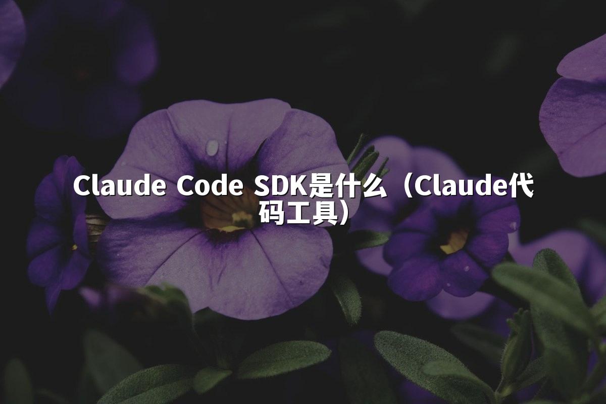 Claude Code SDK是什么（Claude代码工具）