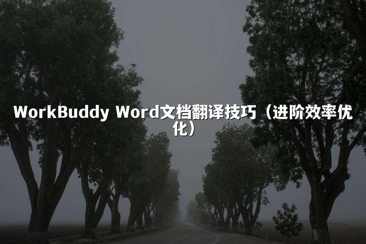 WorkBuddy Word文档翻译技巧(进阶效率优化)