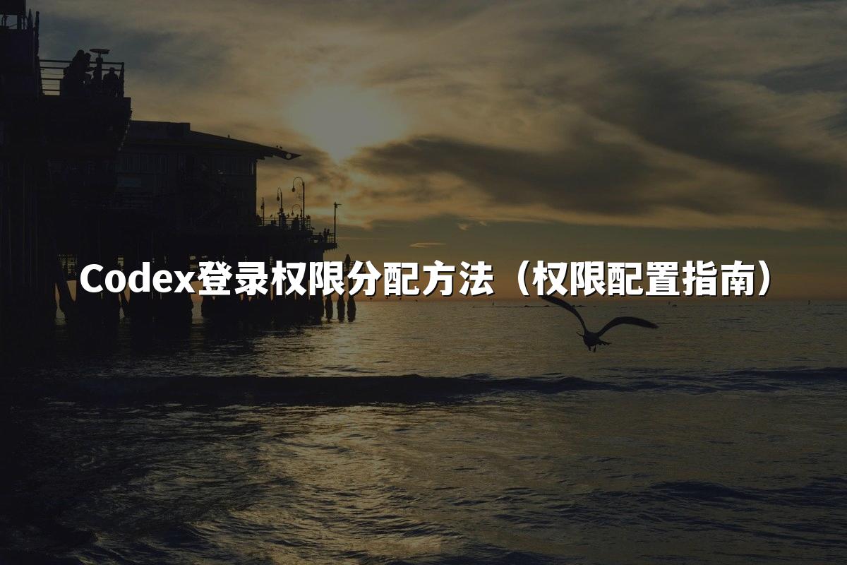 Codex登录权限分配方法(权限配置指南)