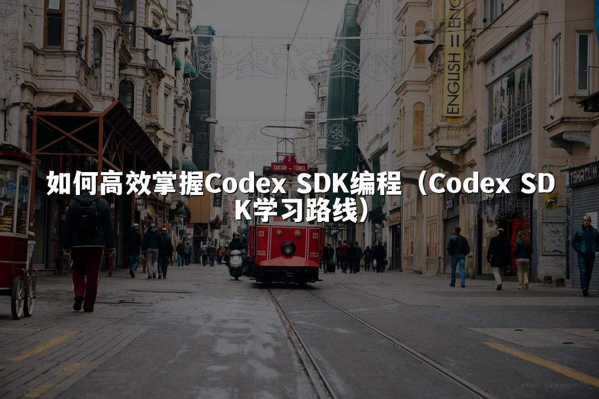 如何高效掌握Codex SDK编程(Codex SDK学习路线)