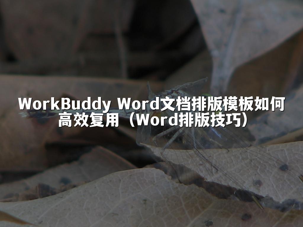 WorkBuddy Word文档排版模板如何高效复用(Word排版技巧)