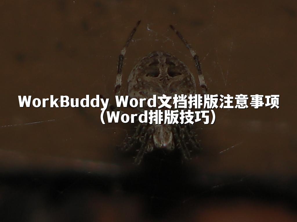 WorkBuddy Word文档排版注意事项（Word排版技巧）