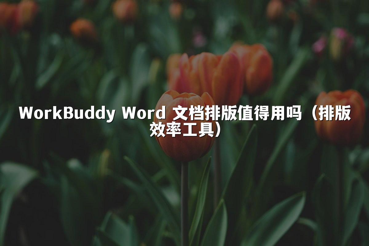 WorkBuddy Word 文档排版值得用吗(排版效率工具)