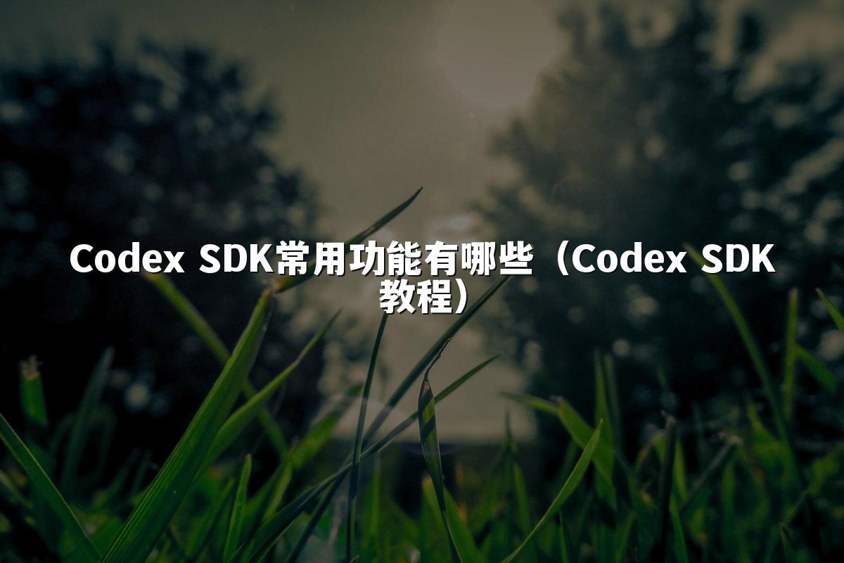 Codex SDK常用功能有哪些（Codex SDK教程）
