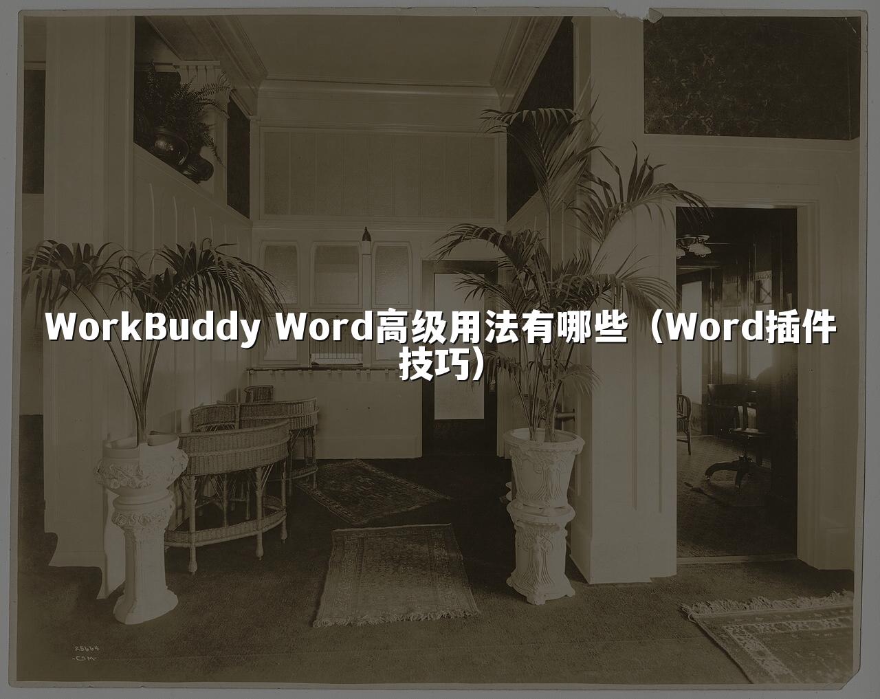 WorkBuddy Word高级用法有哪些(Word插件技巧)