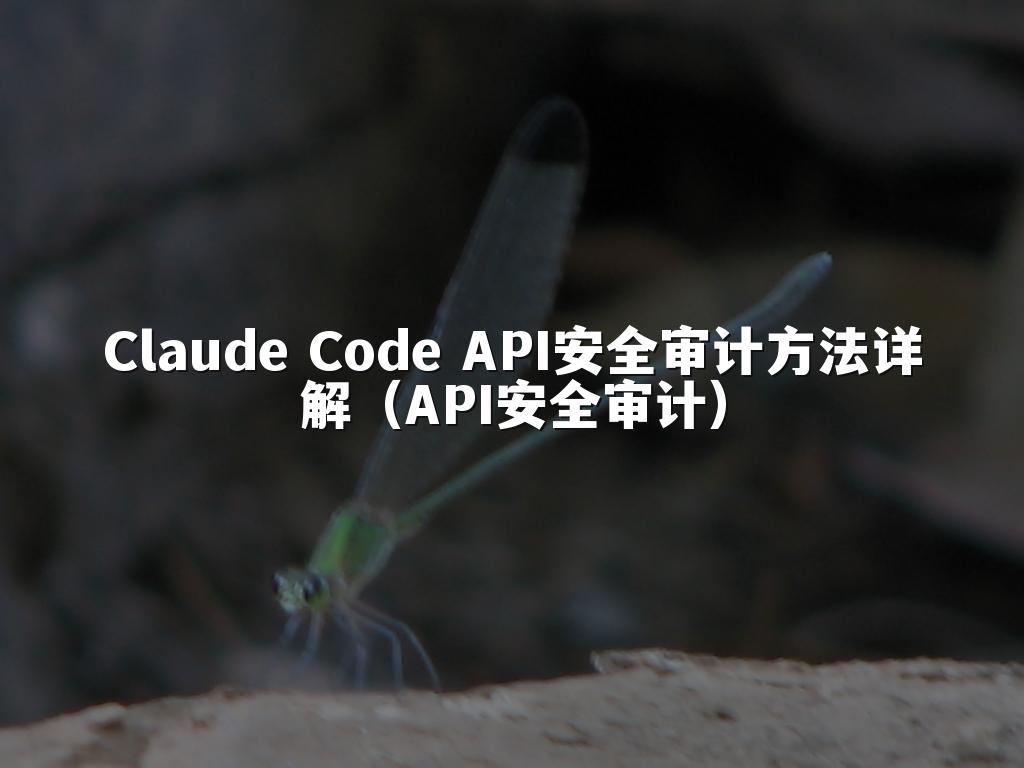 Claude Code API安全审计方法详解（API安全审计）