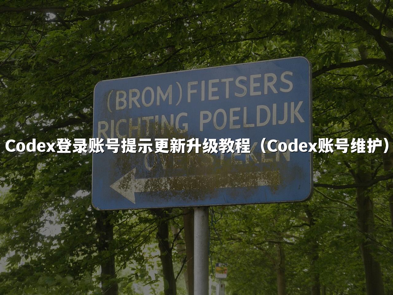 Codex登录账号提示更新升级教程（Codex账号维护）