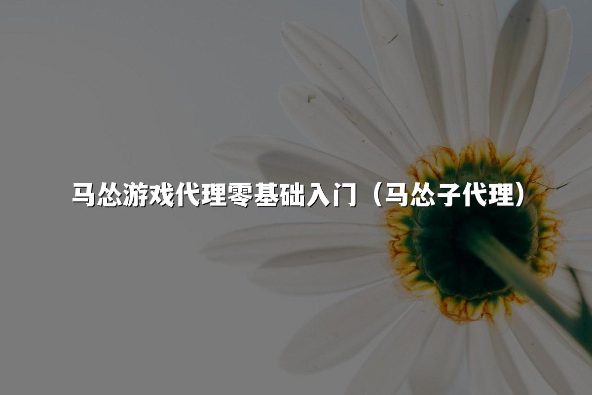 马怂游戏代理零基础入门(马怂子代理)