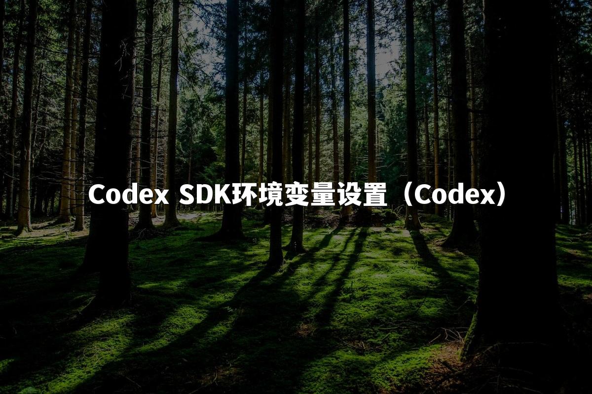Codex SDK环境变量设置(Codex)