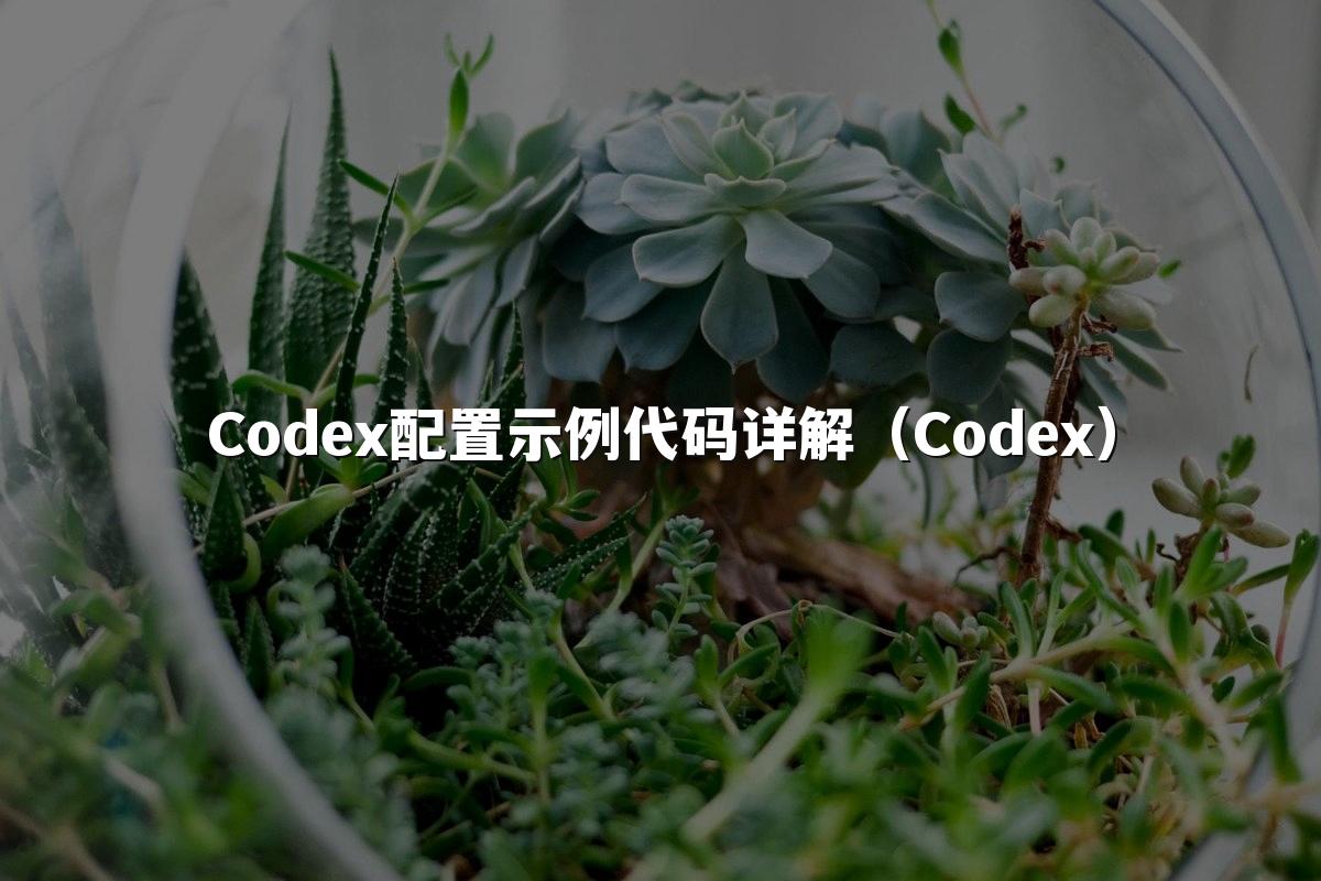 Codex配置示例代码详解(Codex)