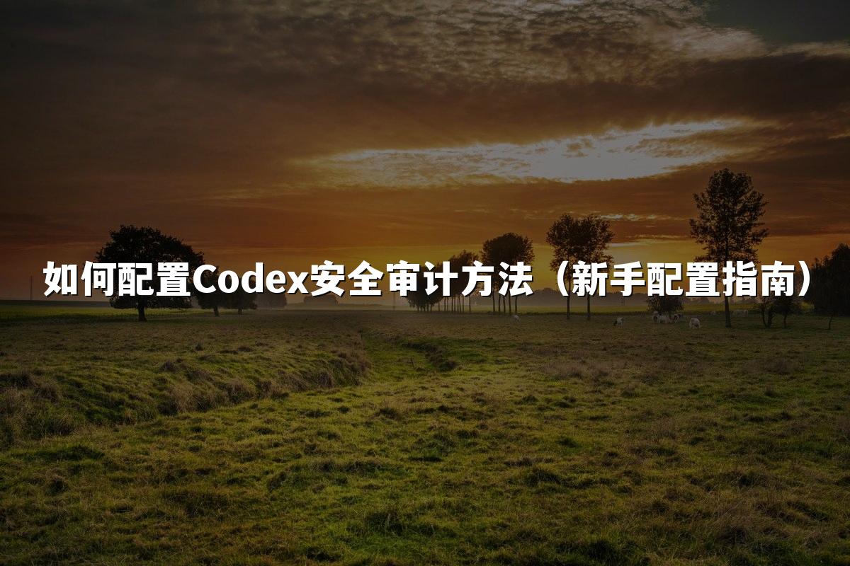 如何配置Codex安全审计方法（新手配置指南）