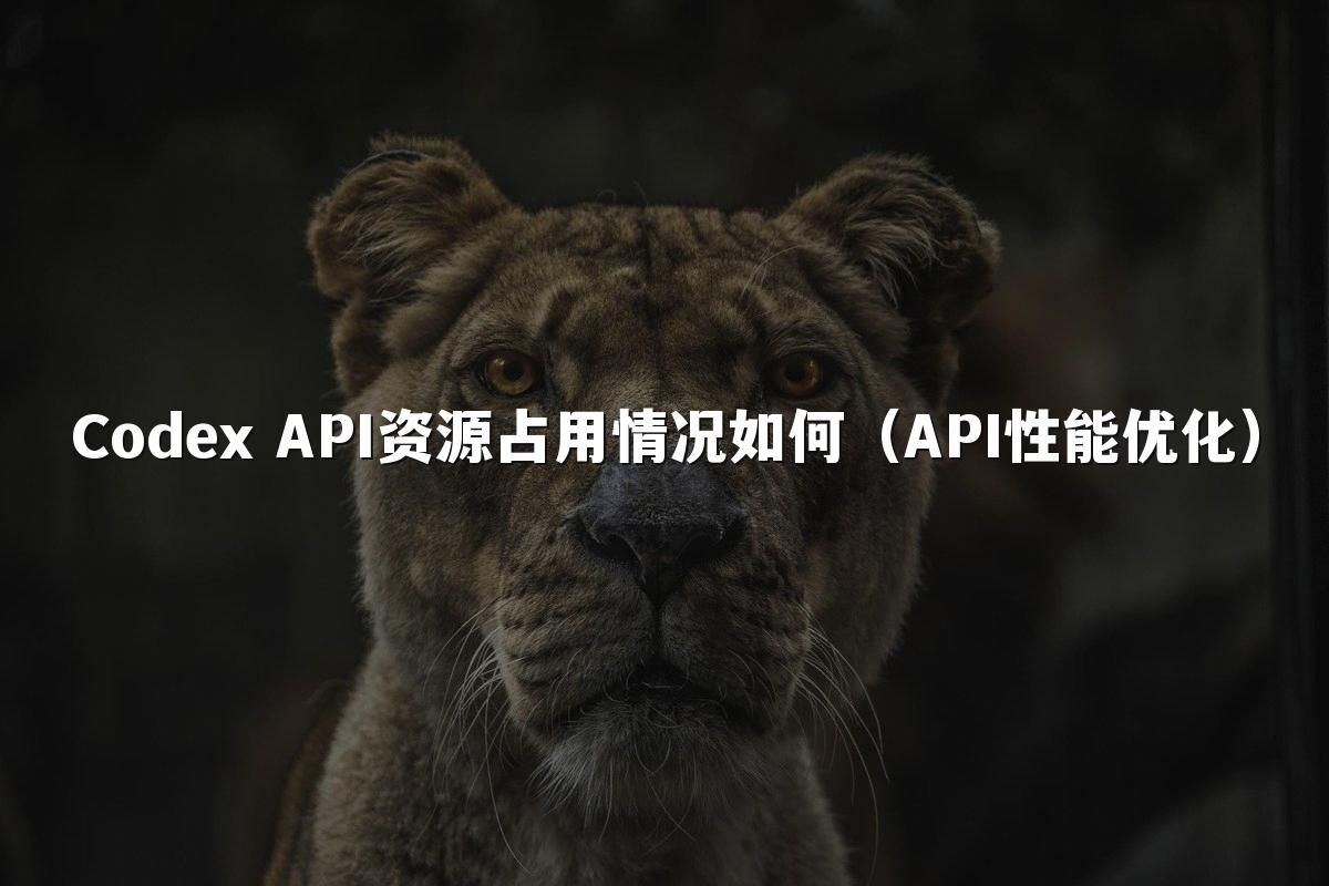 Codex API资源占用情况如何(API性能优化)