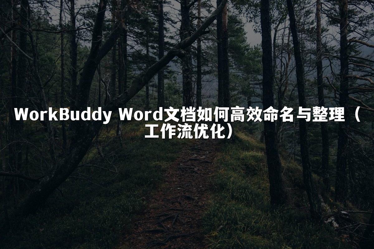 WorkBuddy Word文档如何高效命名与整理(工作流优化)