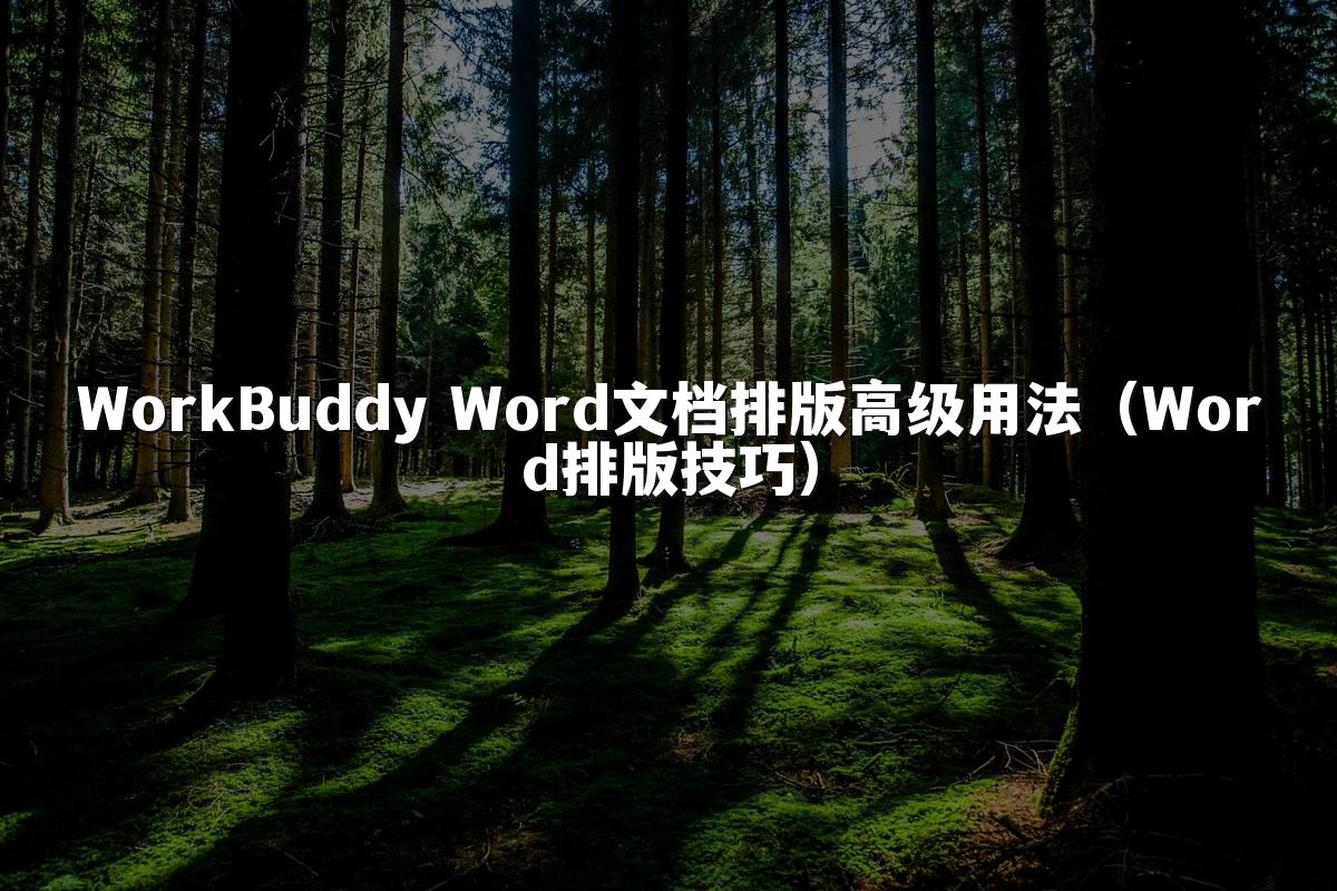 WorkBuddy Word文档排版高级用法(Word排版技巧)