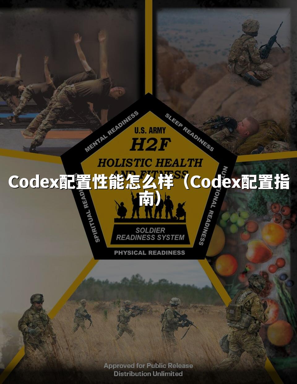 Codex配置性能怎么样（Codex配置指南）