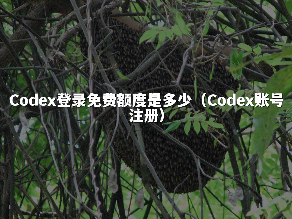 Codex登录免费额度是多少（Codex账号注册）