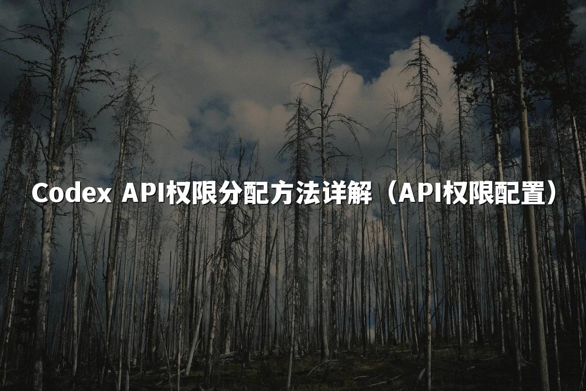 Codex API权限分配方法详解（API权限配置）