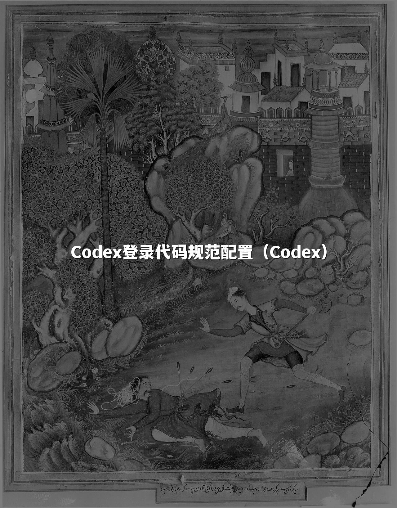 Codex登录代码规范配置（Codex）