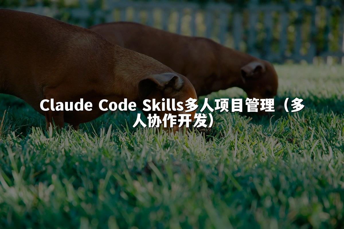 Claude Code Skills多人项目管理(多人协作开发)