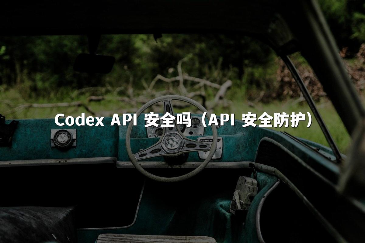 Codex API 安全吗（API 安全防护）