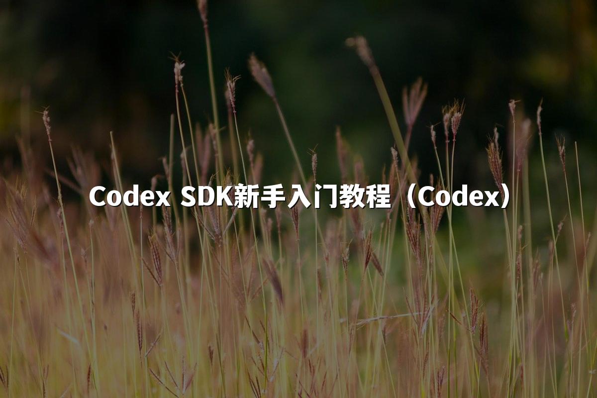 Codex SDK新手入门教程(Codex)