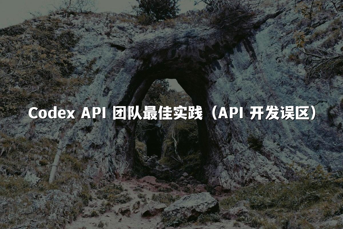 Codex API 团队最佳实践（API 开发误区）