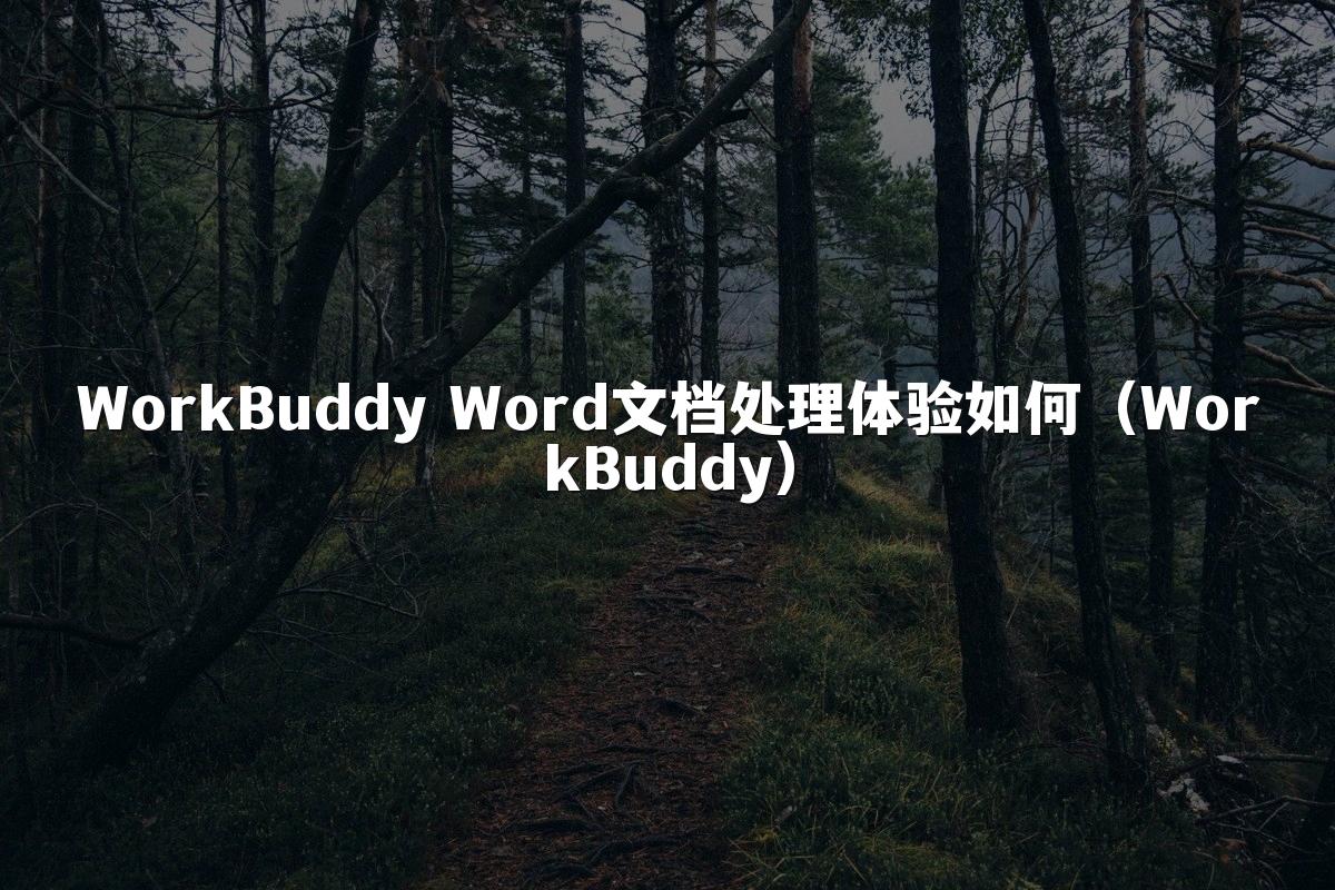 WorkBuddy Word文档处理体验如何（WorkBuddy）