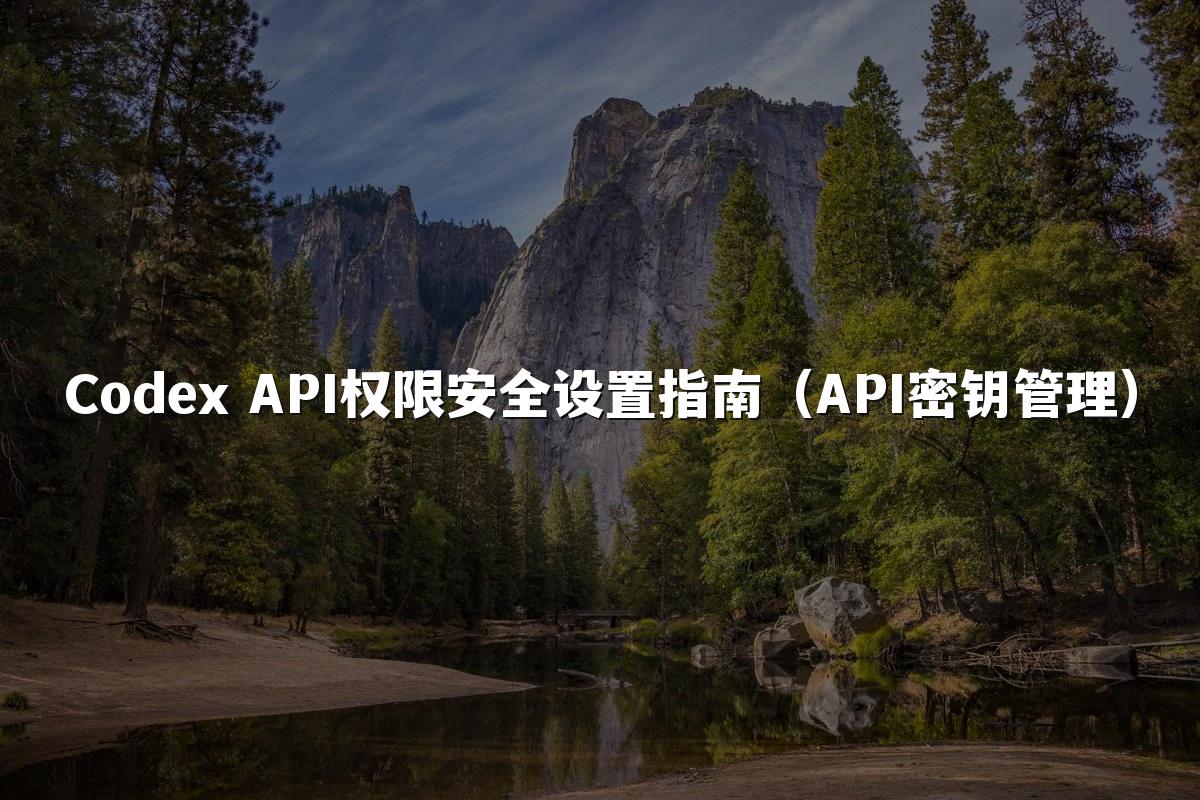 Codex API权限安全设置指南（API密钥管理）
