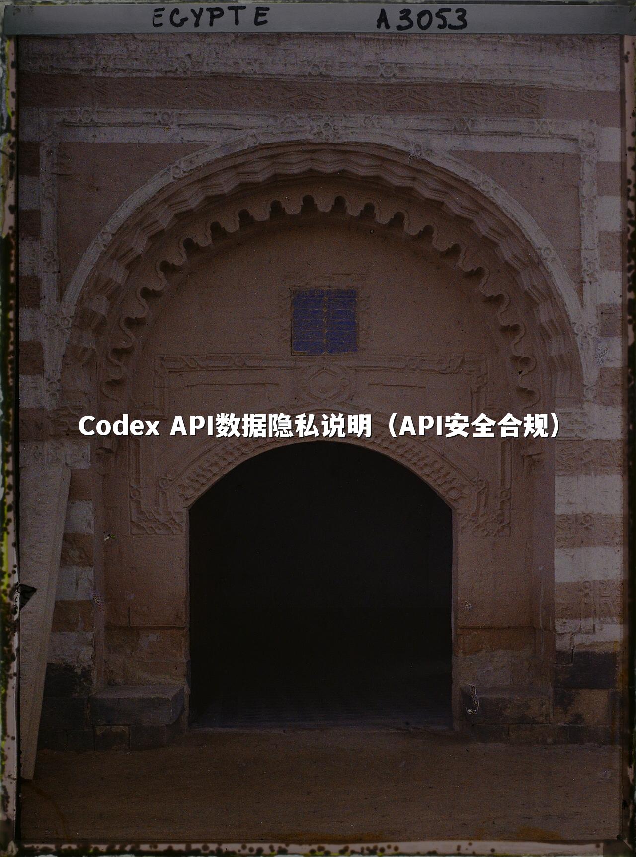 Codex API数据隐私说明（API安全合规）