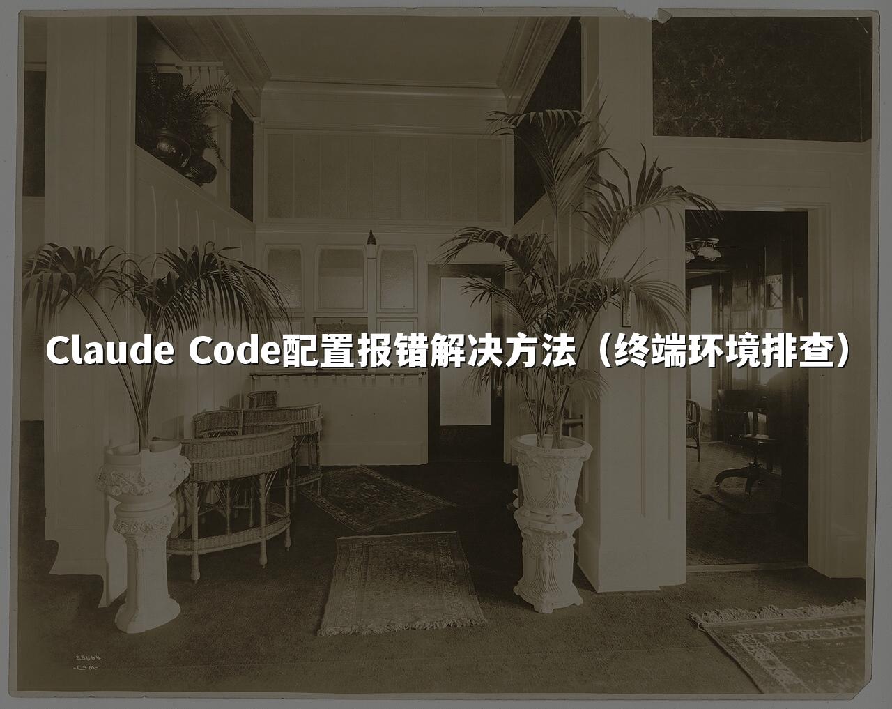 Claude Code配置报错解决方法(终端环境排查)
