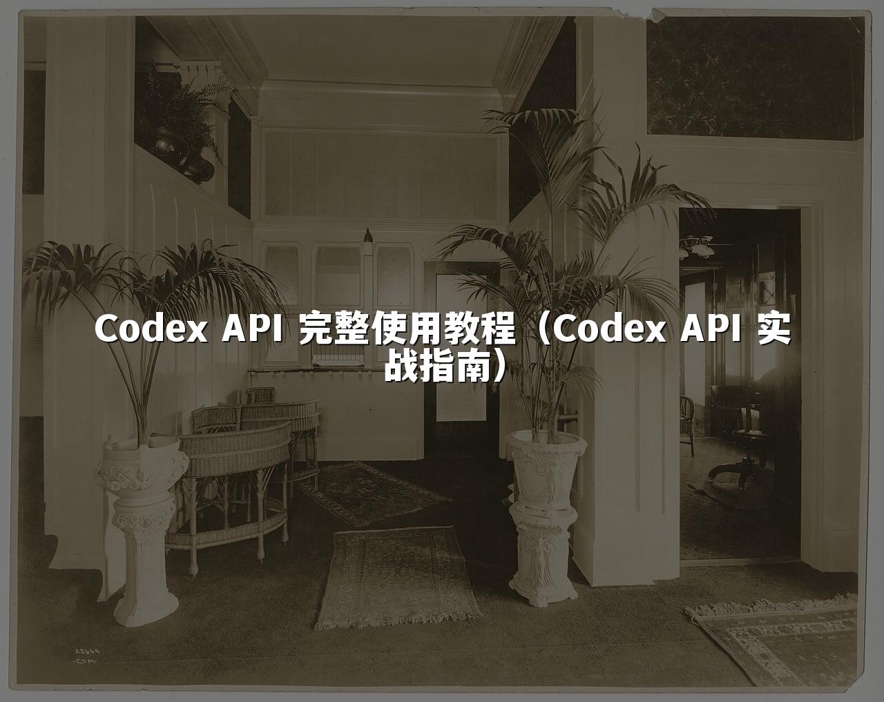 Codex API 完整使用教程（Codex API 实战指南）