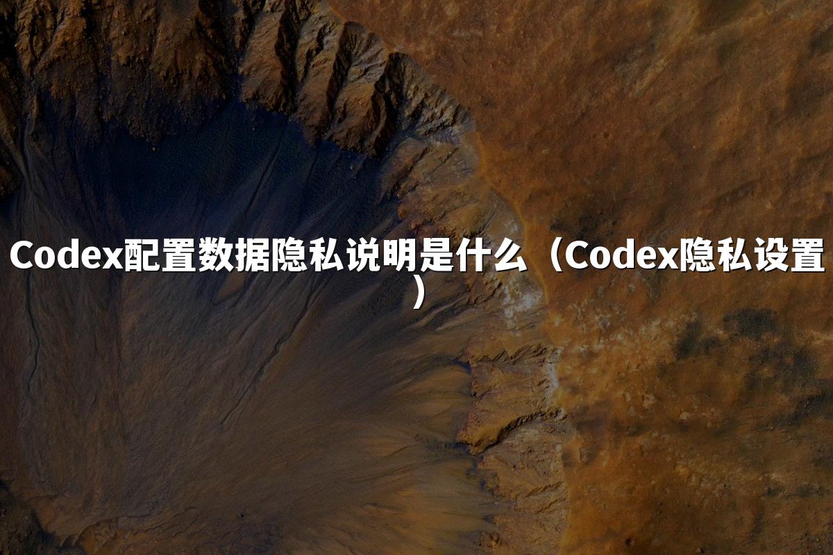 Codex配置数据隐私说明是什么（Codex隐私设置）