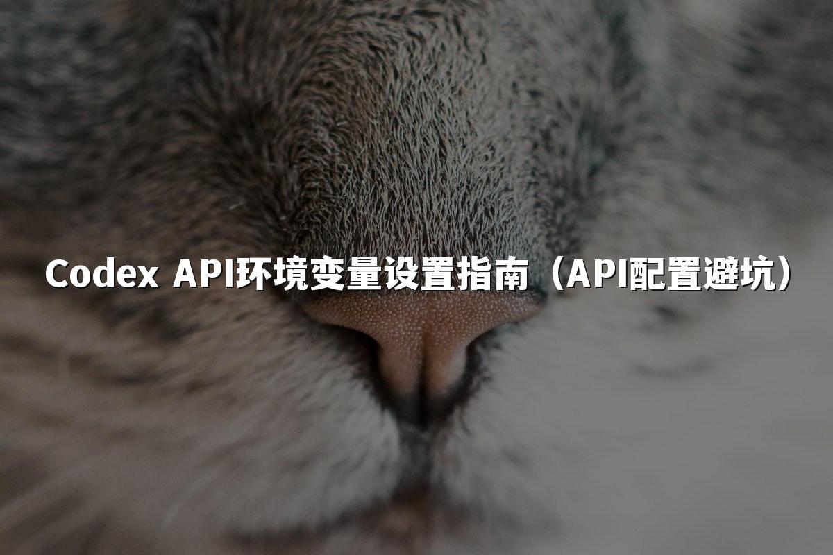 Codex API环境变量设置指南（API配置避坑）