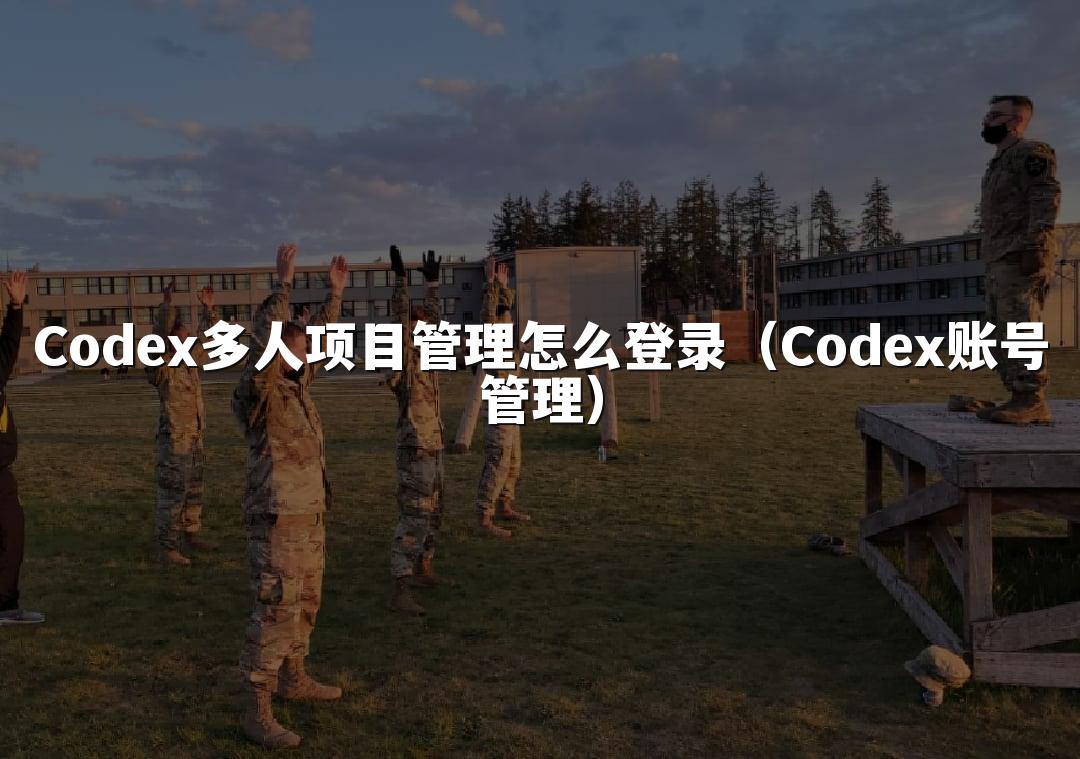Codex多人项目管理怎么登录(Codex账号管理)
