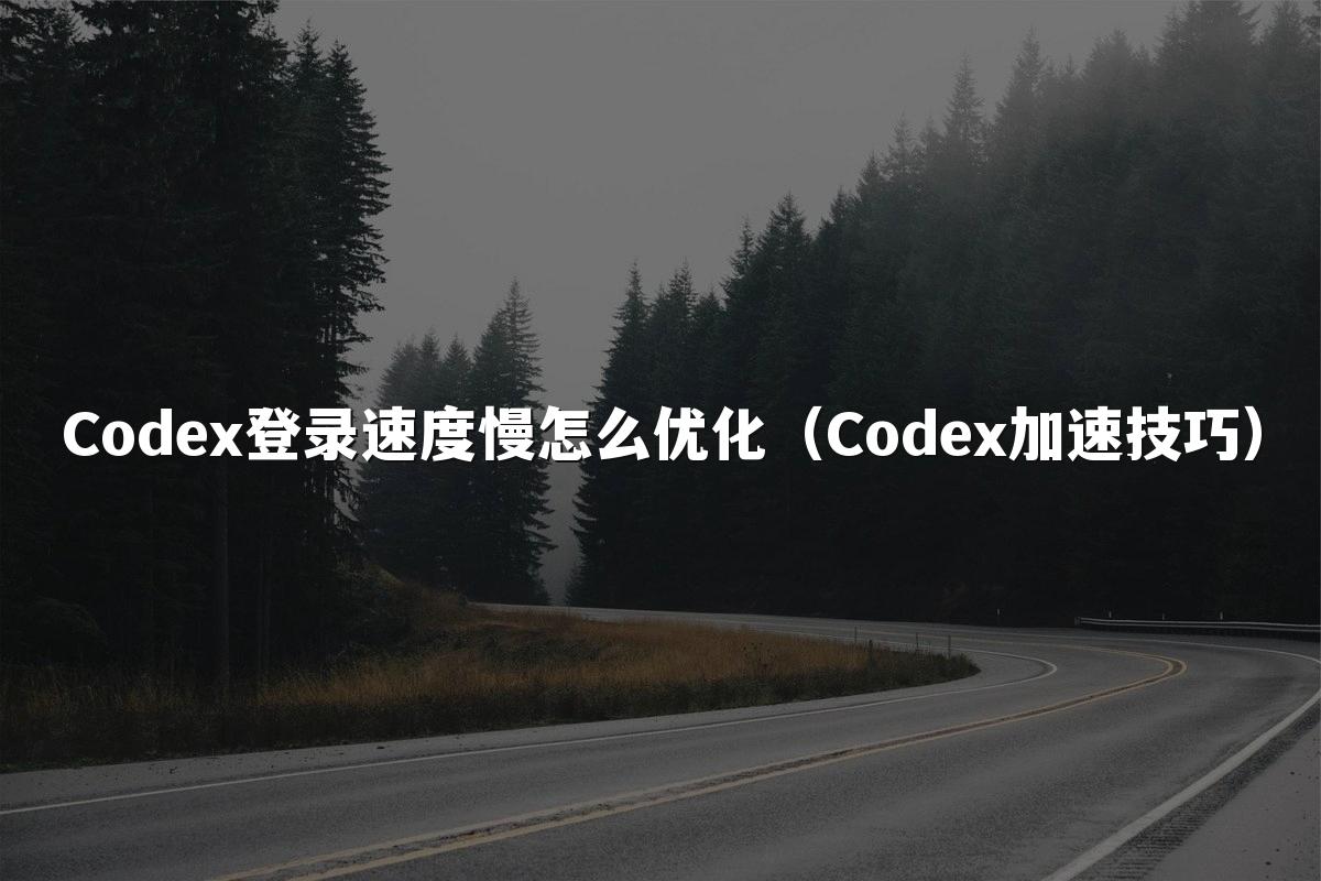 Codex登录速度慢怎么优化（Codex加速技巧）
