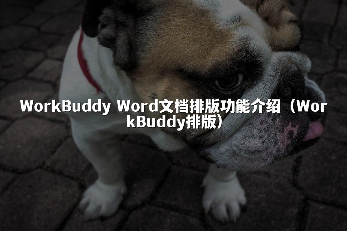 WorkBuddy Word文档排版功能介绍(WorkBuddy排版)