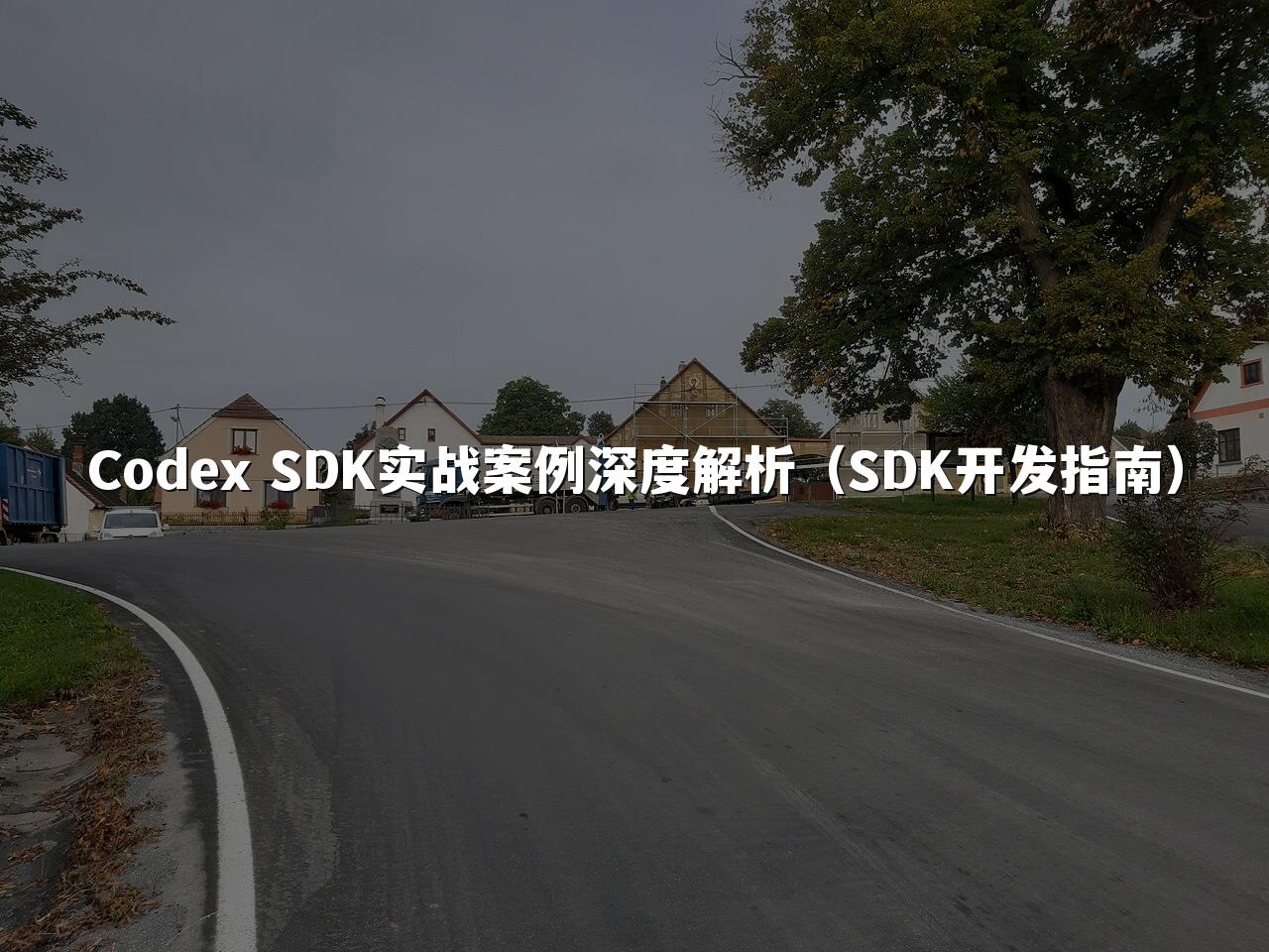 Codex SDK实战案例深度解析(SDK开发指南)