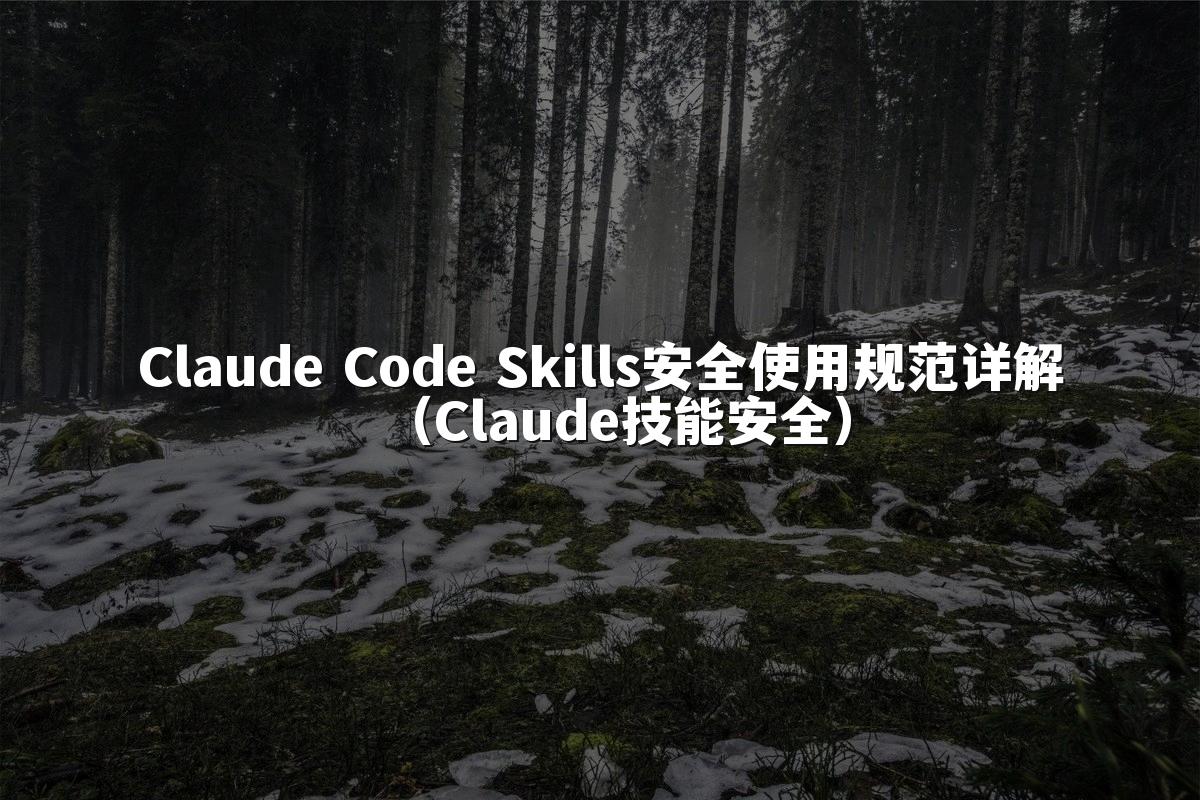 Claude Code Skills安全使用规范详解（Claude技能安全）
