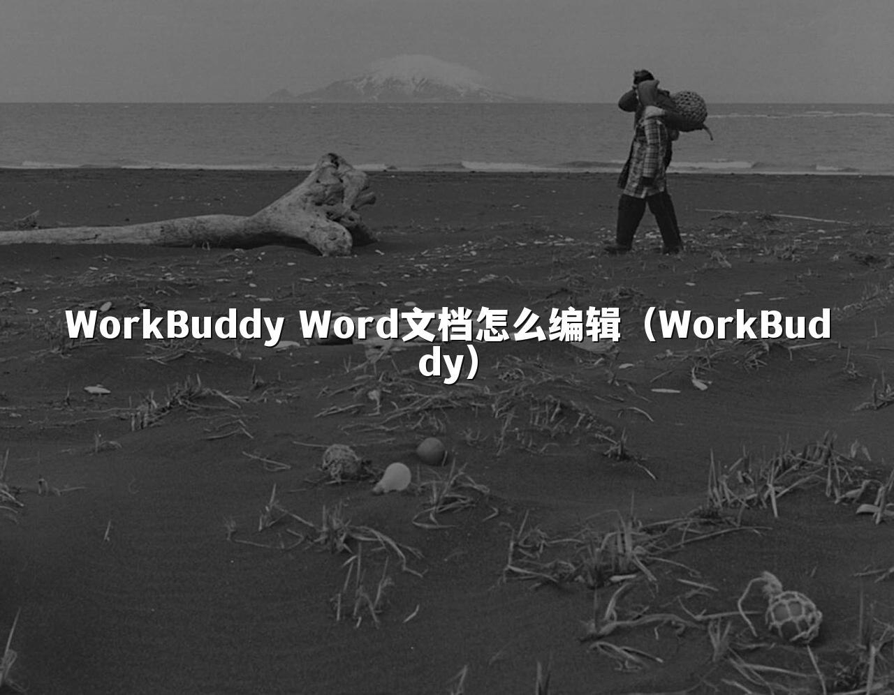 WorkBuddy Word文档怎么编辑(WorkBuddy)
