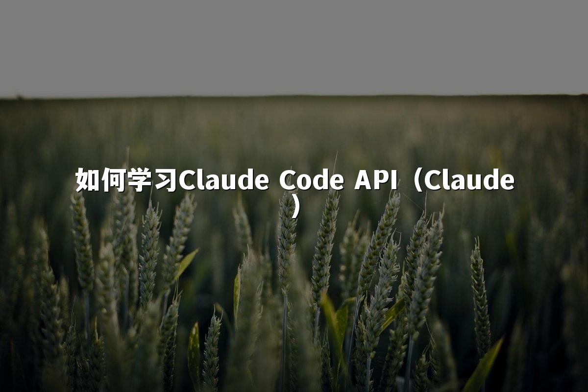 如何学习Claude Code API(Claude)