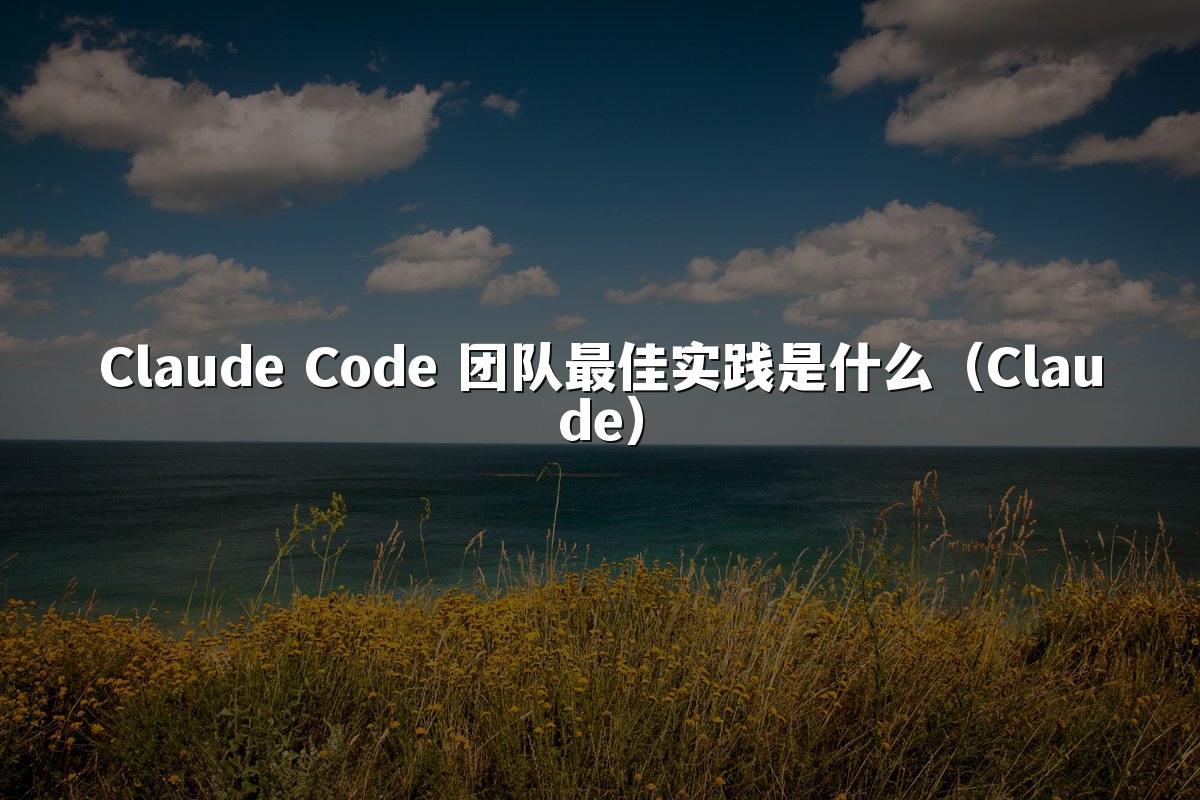 Claude Code 团队最佳实践是什么（Claude）