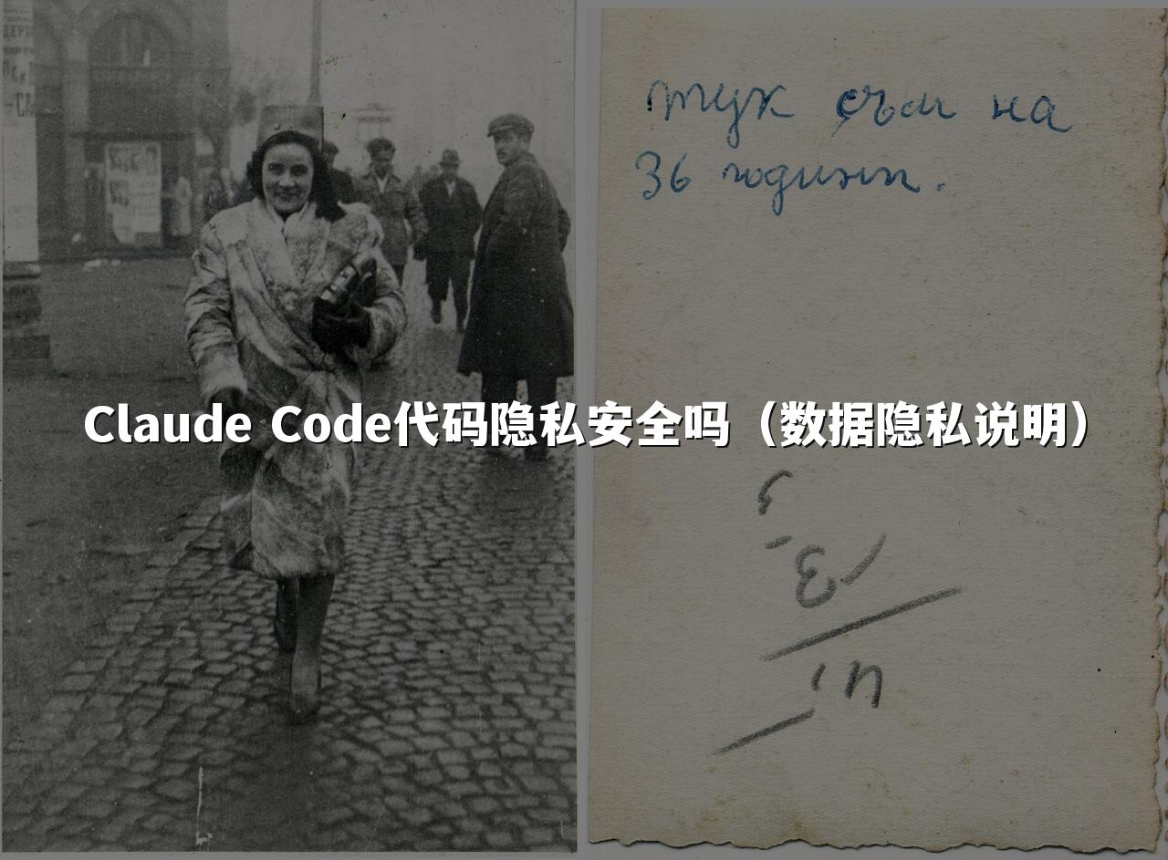 Claude Code代码隐私安全吗（数据隐私说明）