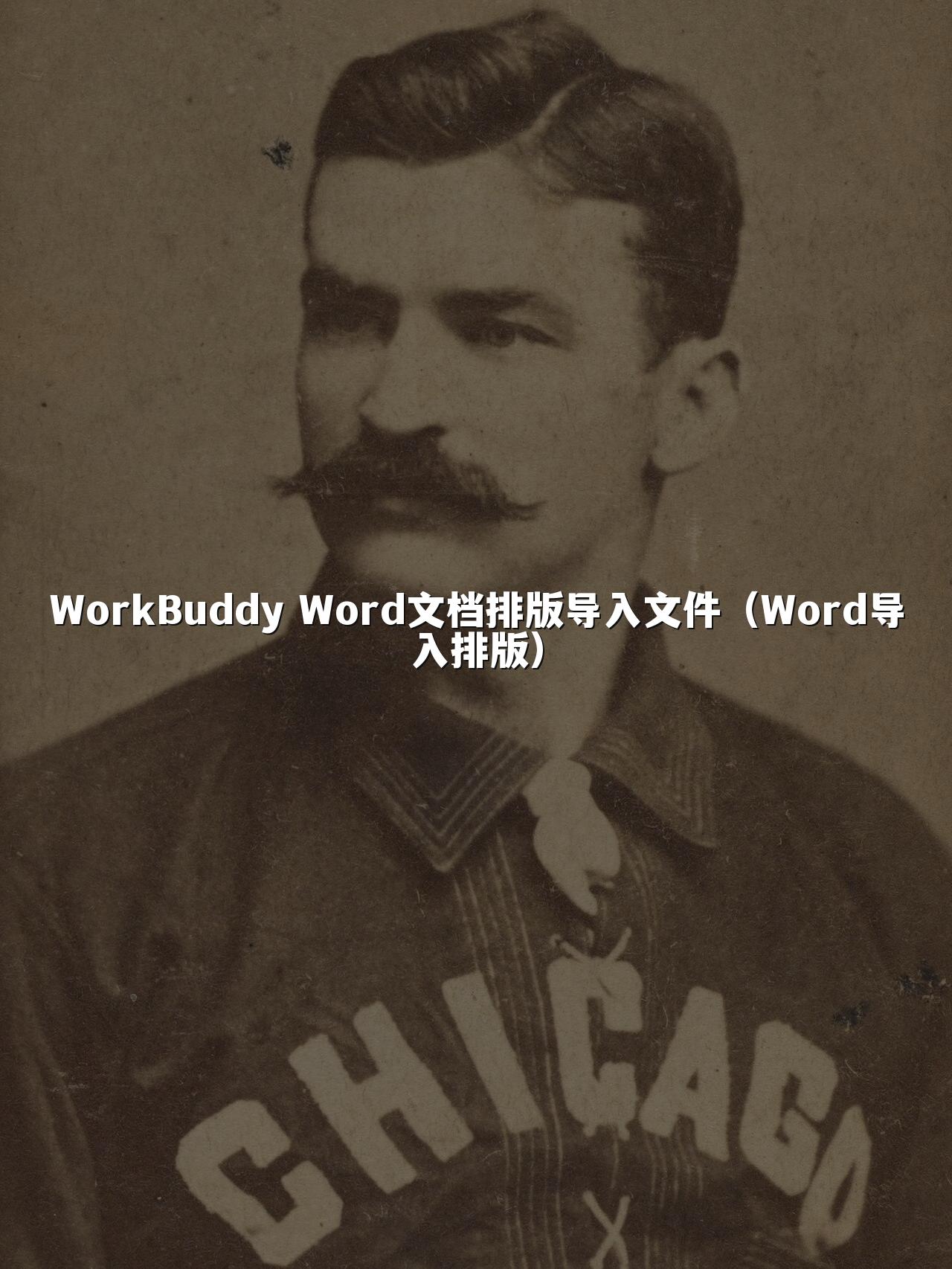 WorkBuddy Word文档排版导入文件(Word导入排版)