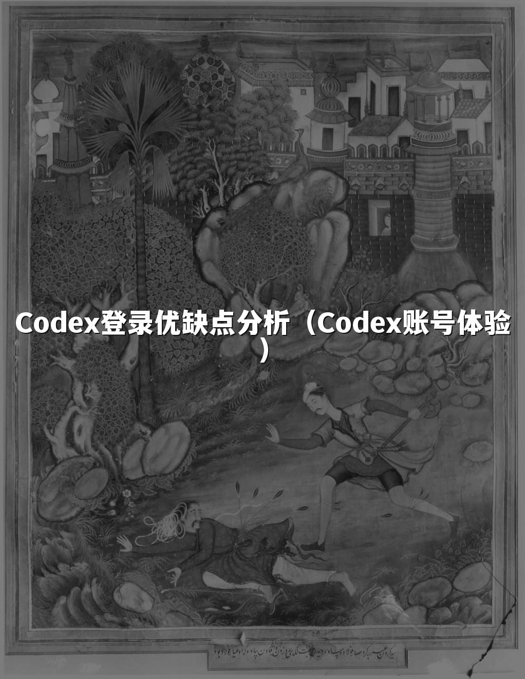 Codex登录优缺点分析（Codex账号体验）