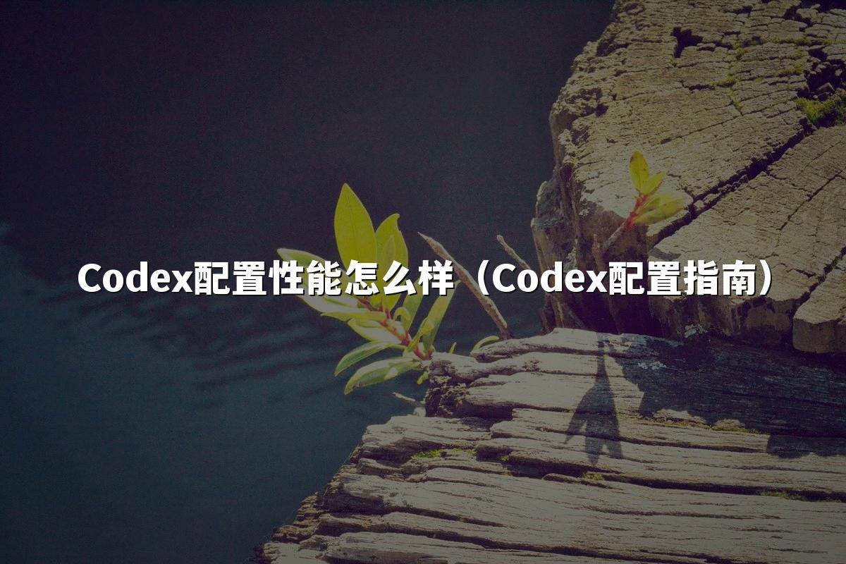 Codex配置性能怎么样（Codex配置指南）